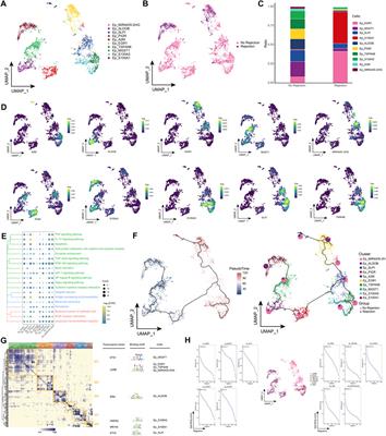 Immune landscape in rejection of renal transplantation revealed by high-throughput single-cell RNA sequencing